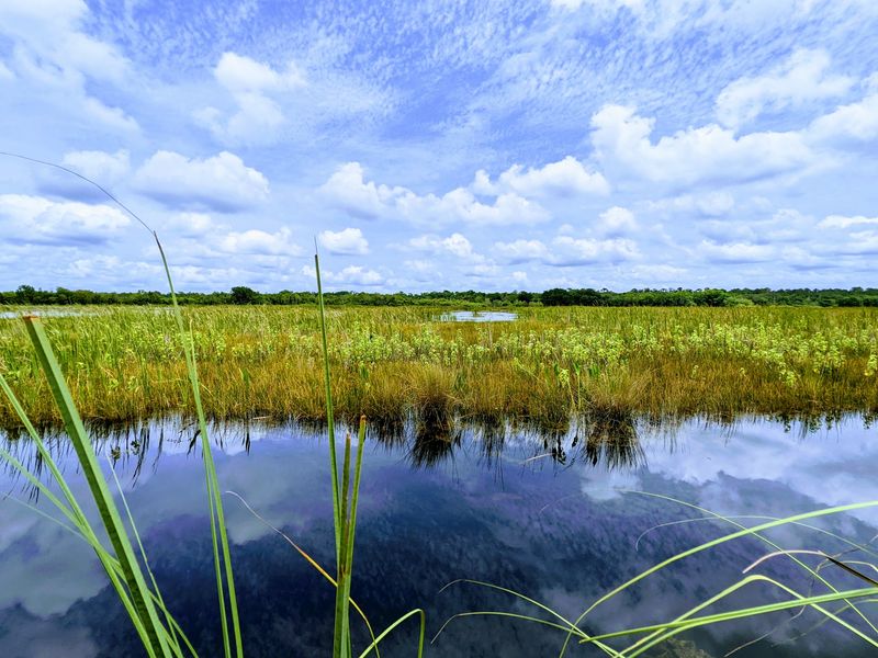Lake Woodruff National Wildlife Refuge Right Outside The Door