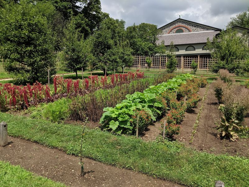 Stop And Smell The Founder's Favorite Hobby