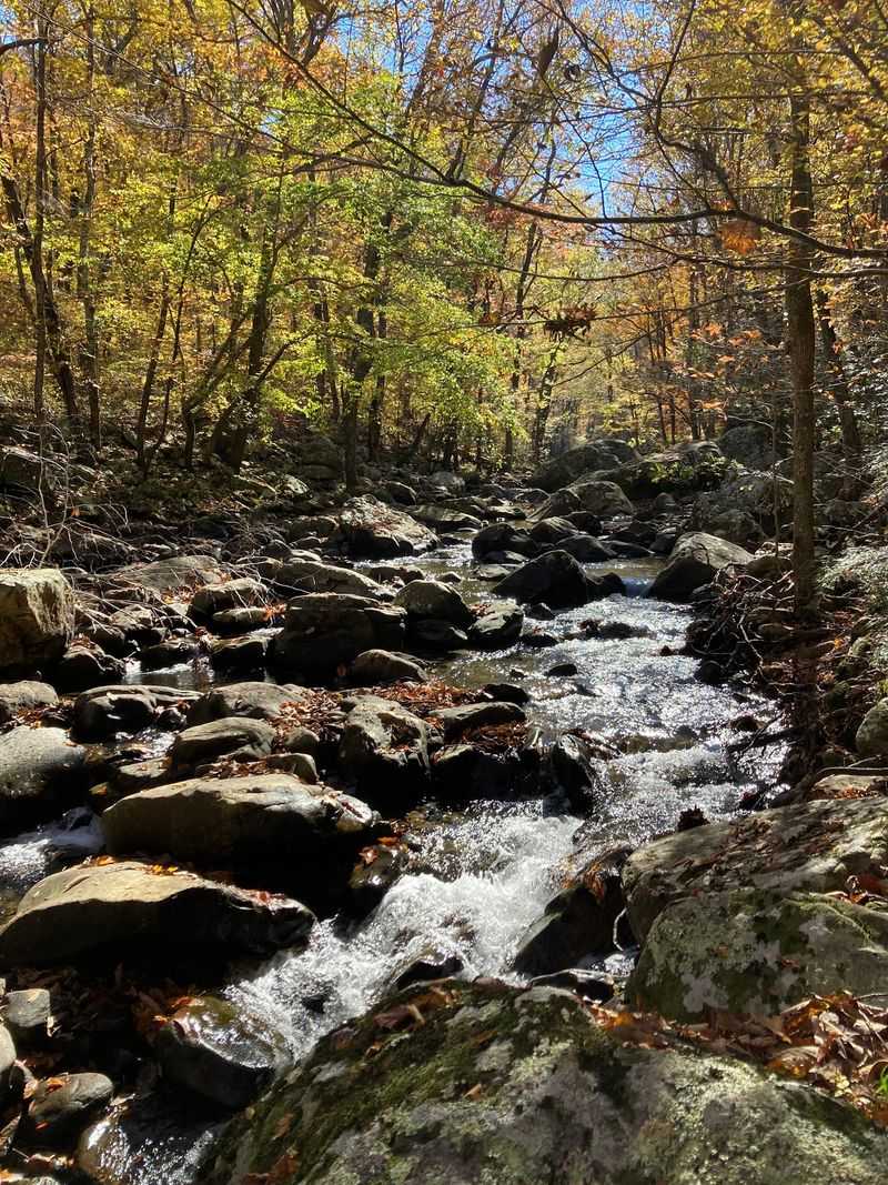 Follow Daniel Creek Into The Quieter Side Of The Canyon