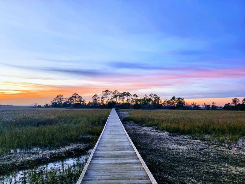 Walk Out Over The Marsh Where Hollywood Once Showed Up