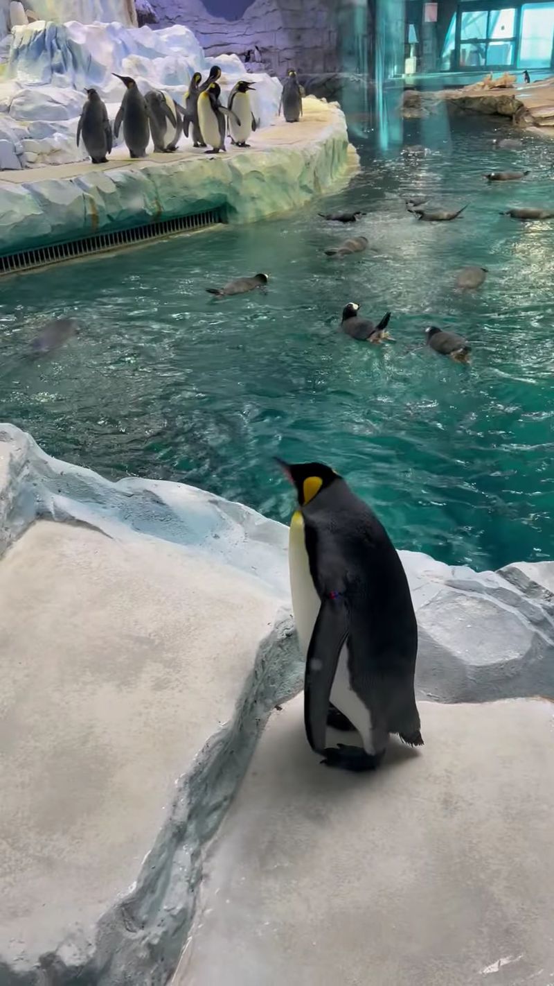 The Chill Inside Is Kept That Way On Purpose