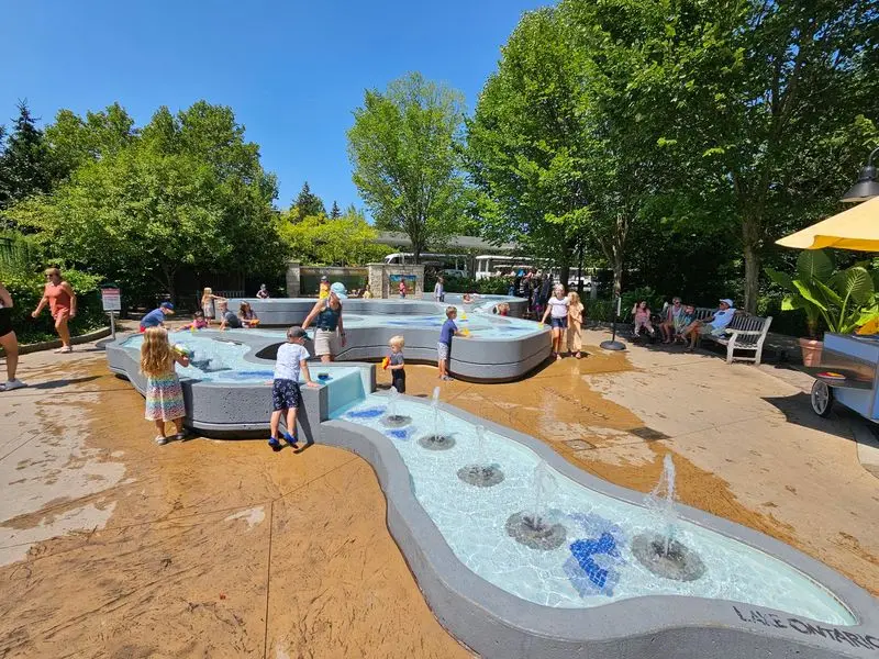 Kids Get A Beaver Lodge, Fossils, And Permission To Splash