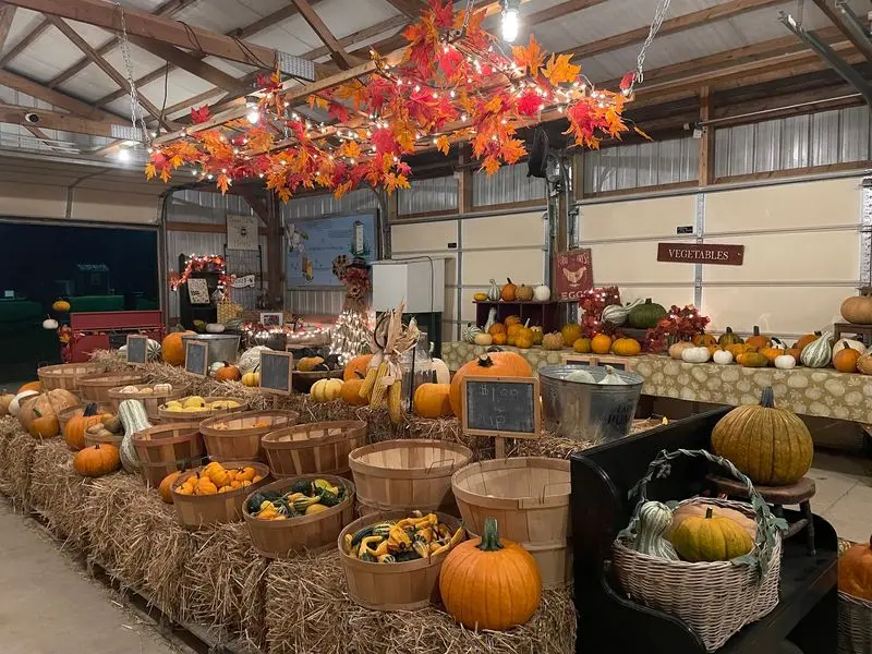 Tom's Maze and Pumpkin Farm