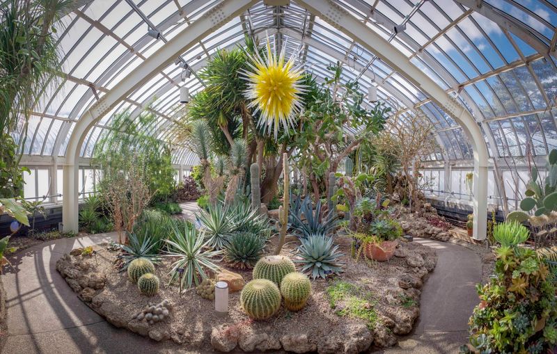 Travel From Ferns To Cactus Without A Passport