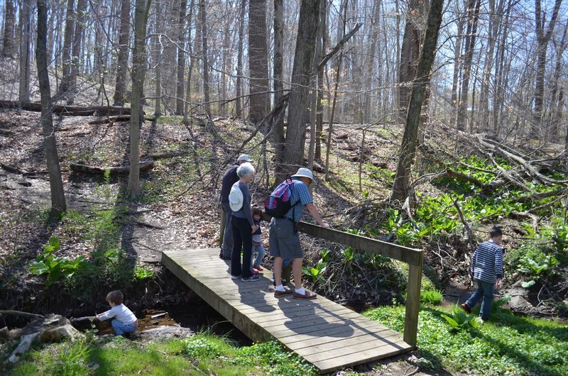 A Trail Walk Turns Into a Tiny Safari
