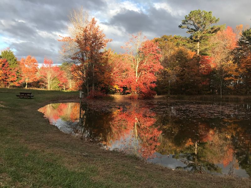 Lake Views Here Come With A Twist, And A Fishing Pole