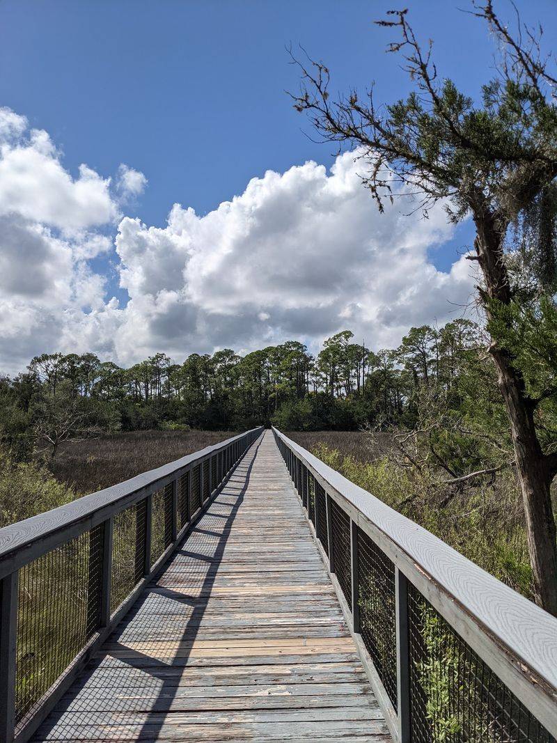 Bring Binoculars, Because That Marsh Boardwalk Is Birding Heaven