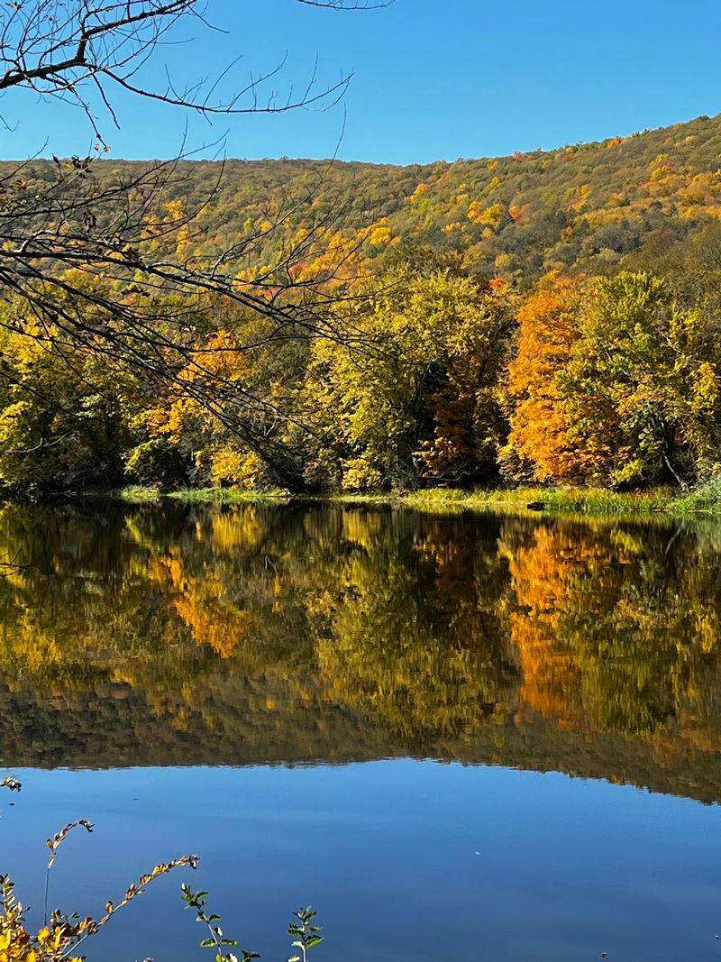 Stroll Along the Housatonic River