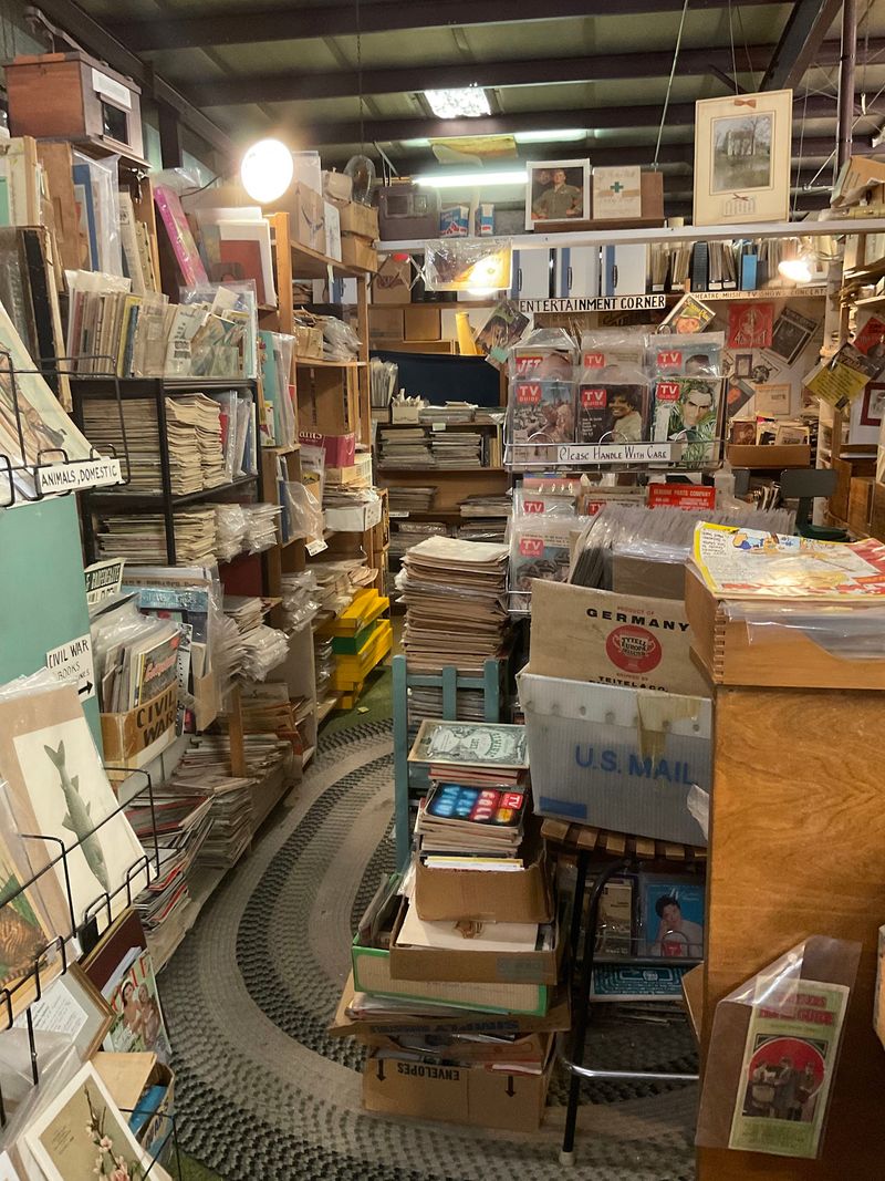 Let Vintage Books Slow the Afternoon Down