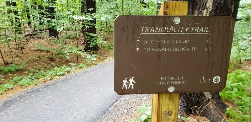 Let the Pace Settle on Pittsfield's Tranquility Trail