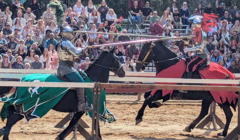 Cheer for Knights at the Joust