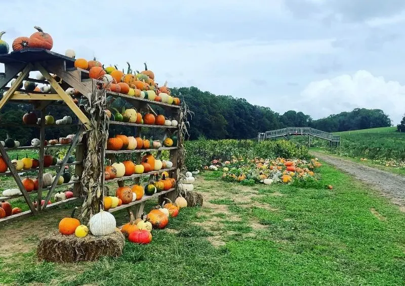Ramsey&rsquo;s Farm