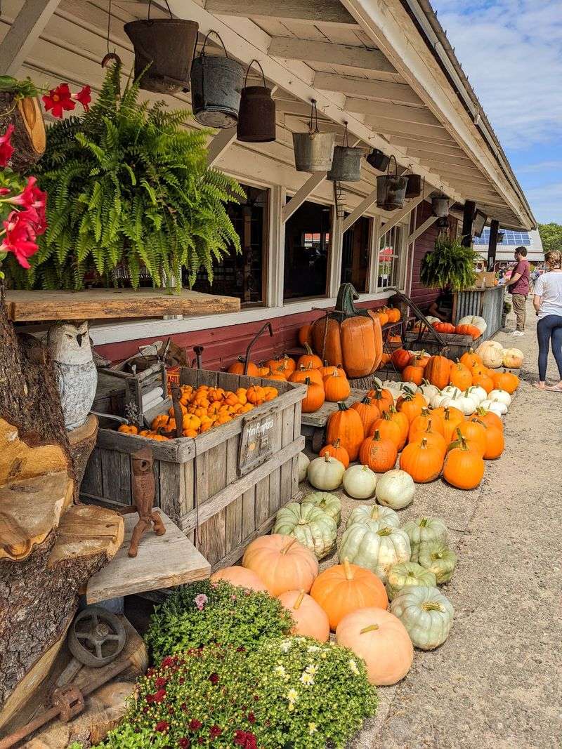 Plan Extra Time For A Farm Store That Goes Way Beyond Dessert