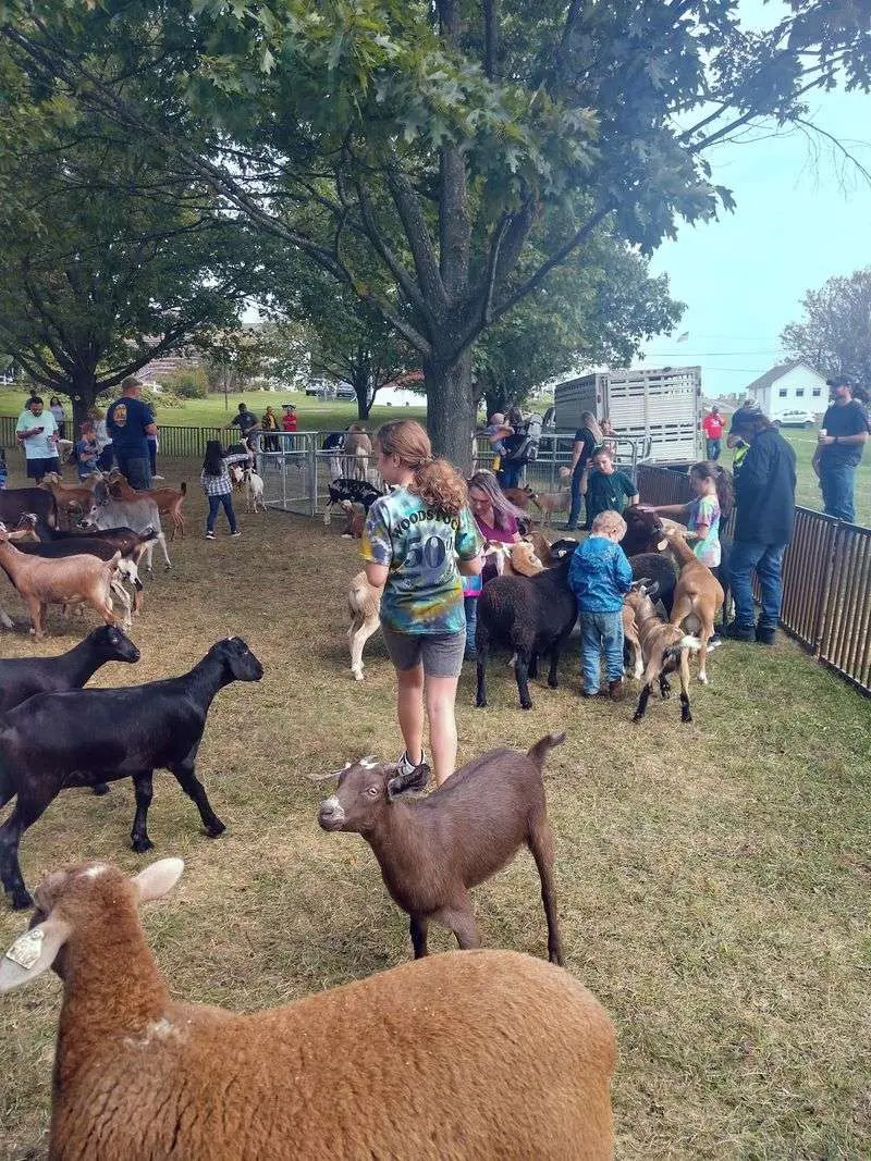Delmont Apple 'n Arts Festival