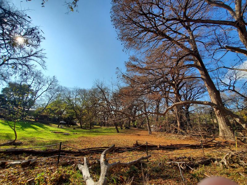 Wimberley