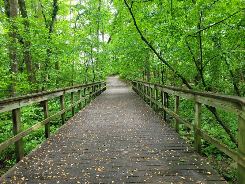 Why This Shady Corner Of Maryland Earns A Spot On Your List