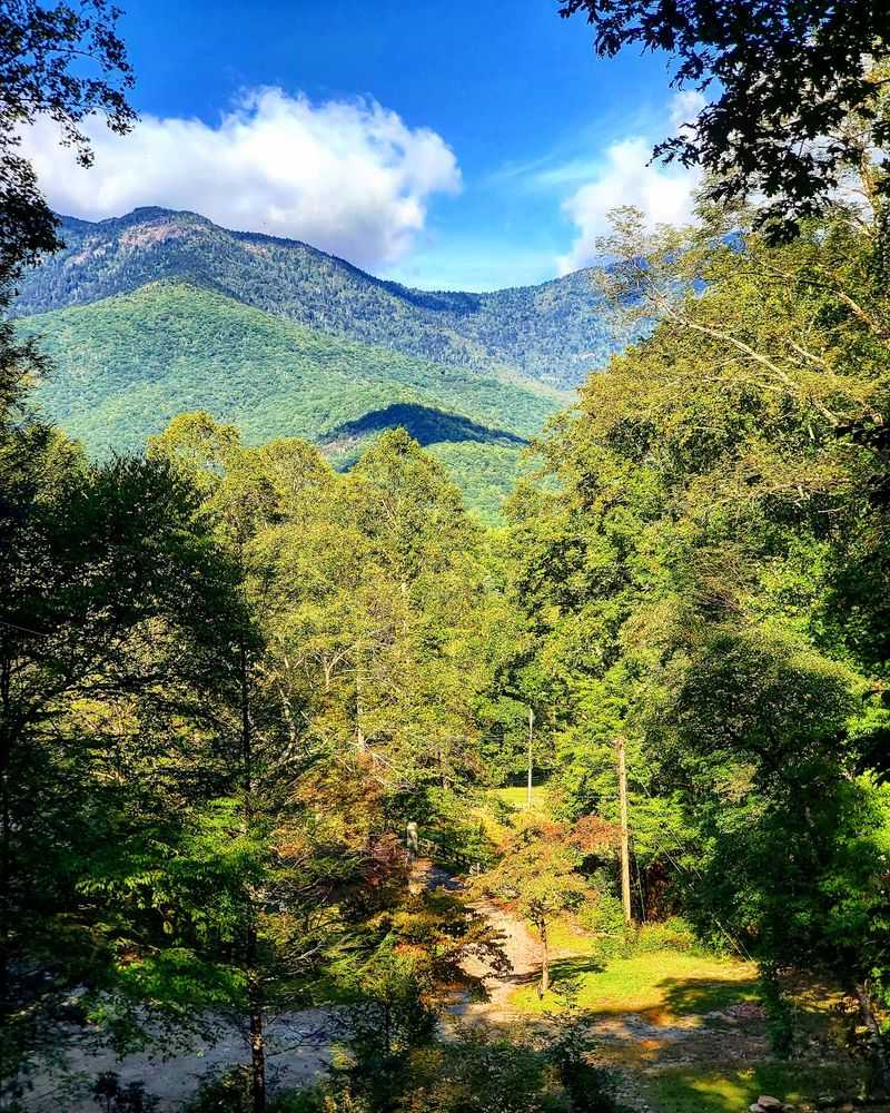 The Blue Ridge Parkway Practically Becomes Your Backyard