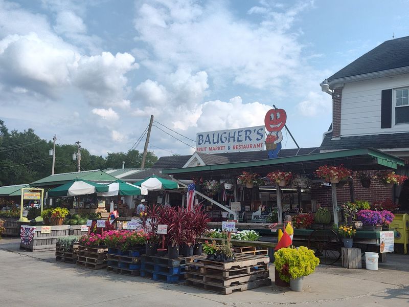 Plants, Flowers, and a Little Craft Shop Bonus