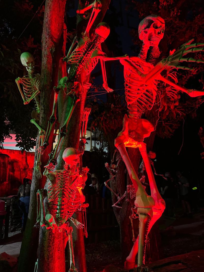 The Horrorland Miami