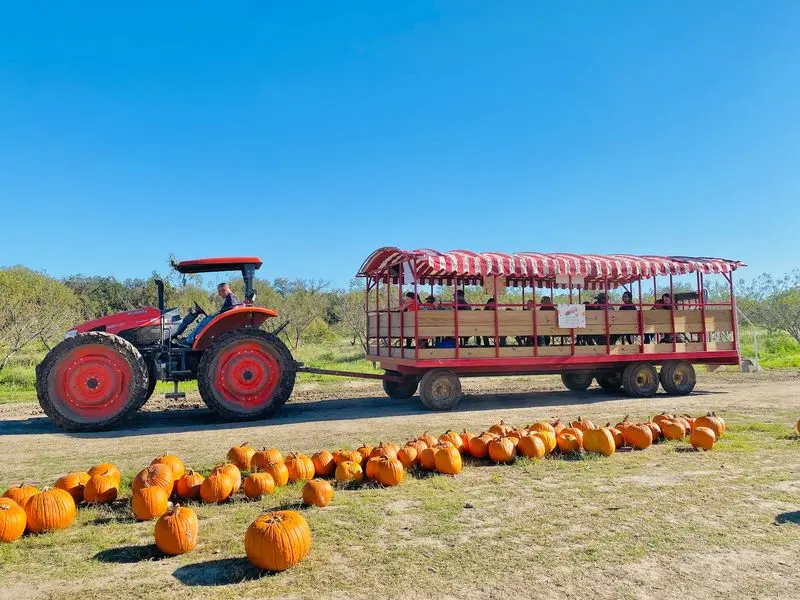 Sweet Eats Adventure Farm: An Active Escape Near Georgetown