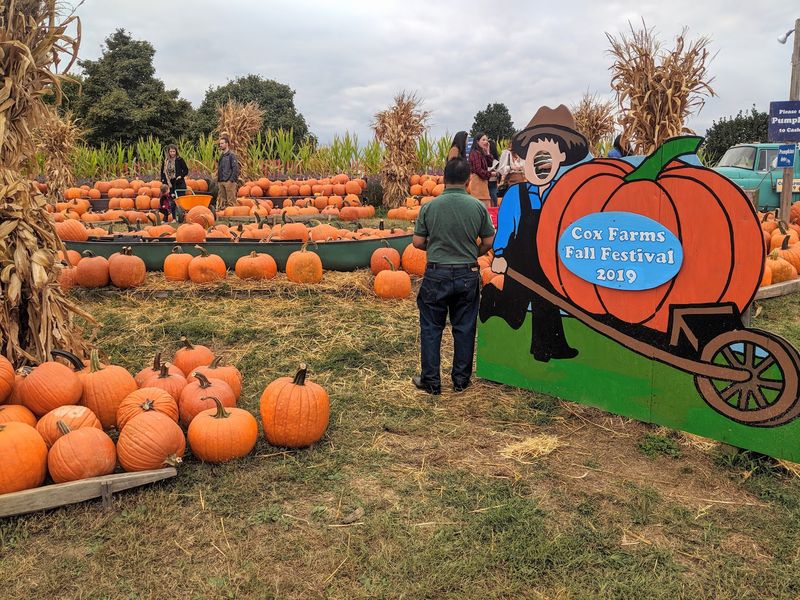 Pumpkins Make the Maze Day Last Longer