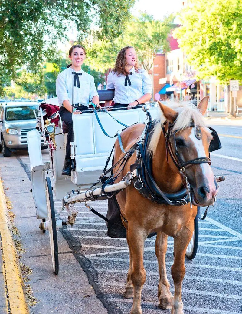Free Carriage Rides Bring The Clip-Clop Soundtrack
