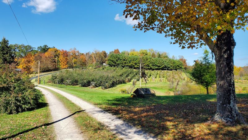 Hidden Hills Orchard: Take the Scenic Route Near Marietta