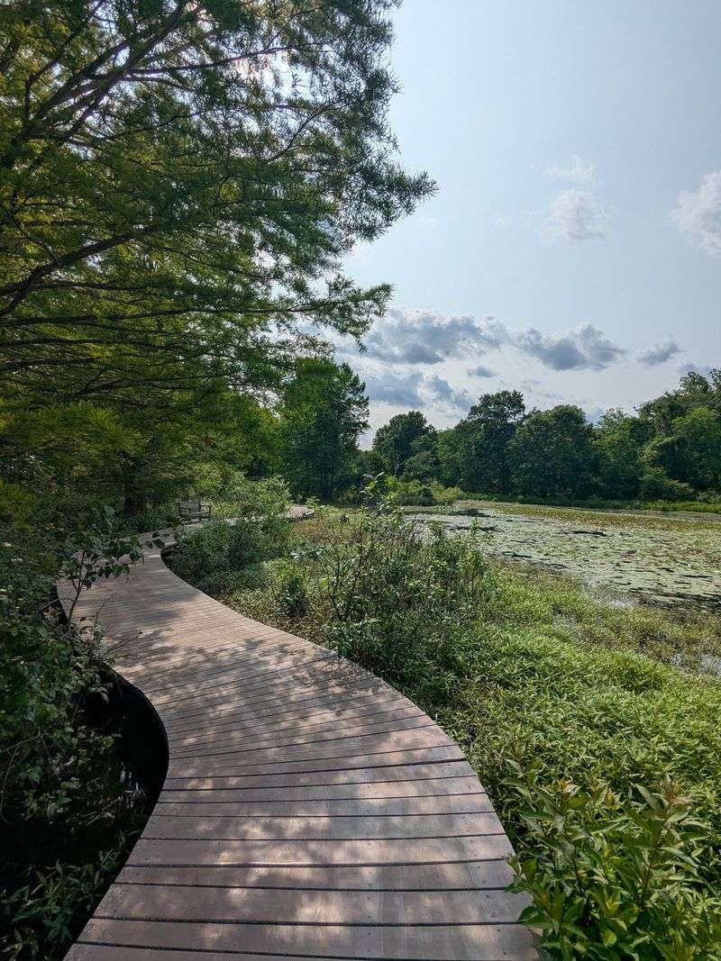 Why This Quiet Corner Deserves A Spot On Your Family Calendar
