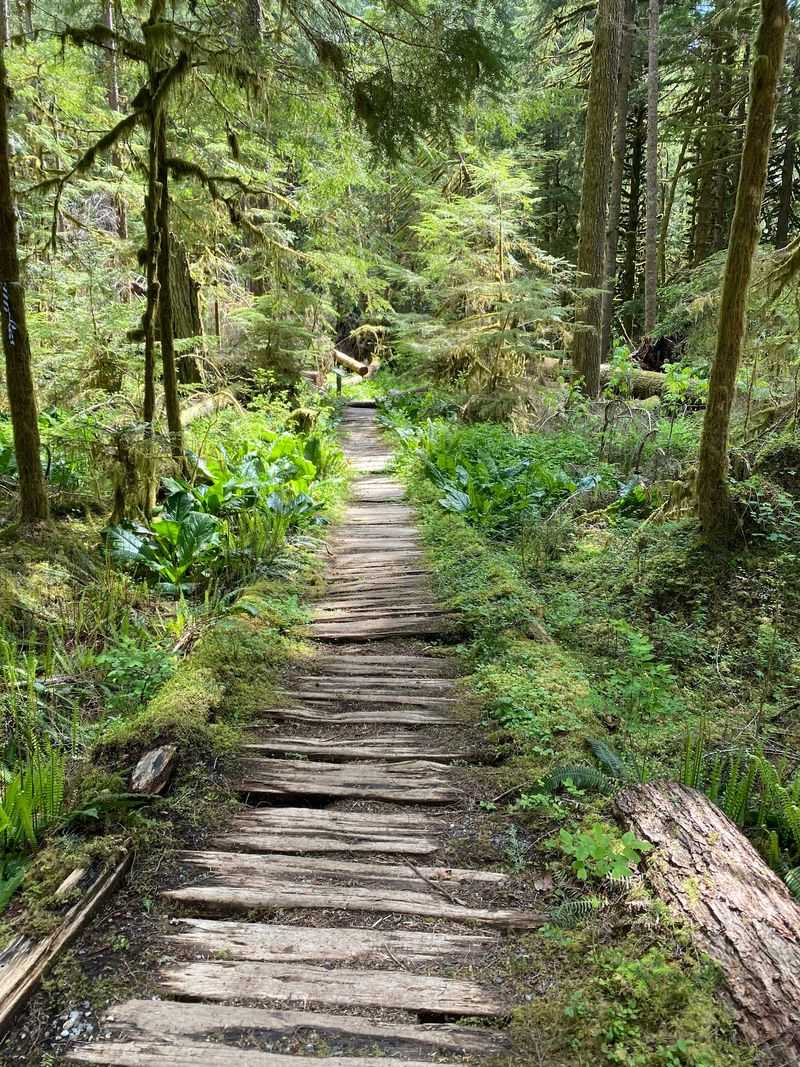 A Boardwalk With a Little Personality