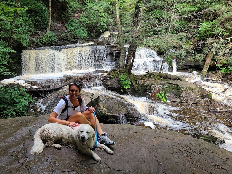 Make Room for Your Four-Legged Hiker