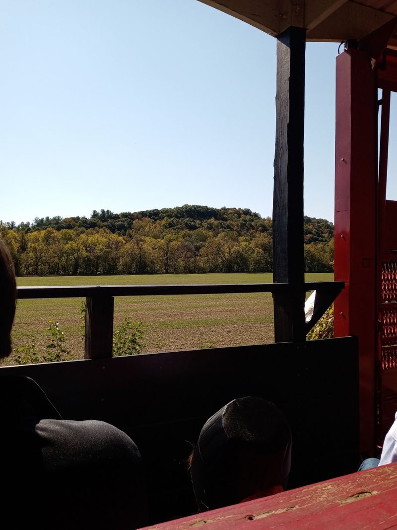 Frame the Leaves Without Missing the Ride