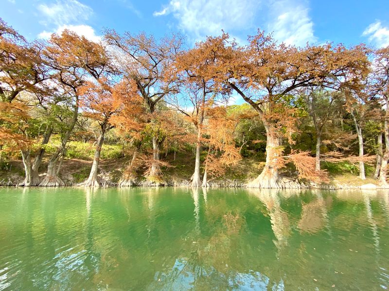 Riverbank Bronze at Guadalupe River State Park