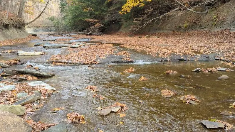 Brandywine Gorge Trail