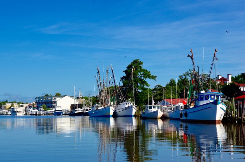 Boats Wearing Twinkle Lights Steal The Harbor Show