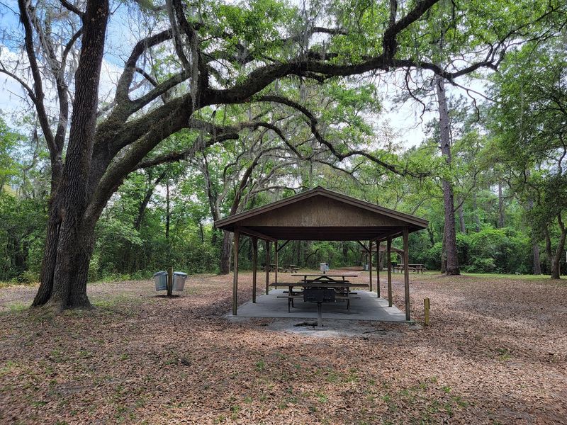 Your Picnic Deserves A Shady Pavilion And A Grill