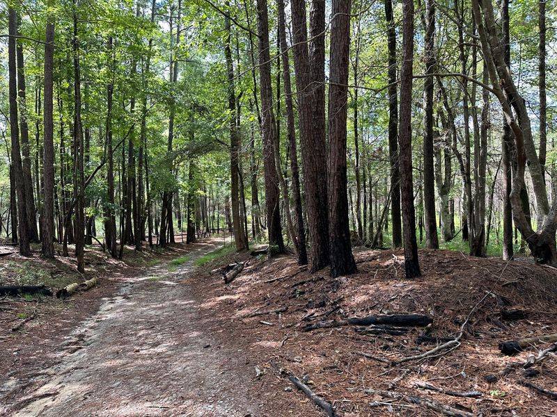Flat Trails, Soft Steps, And Zero Mountain Drama