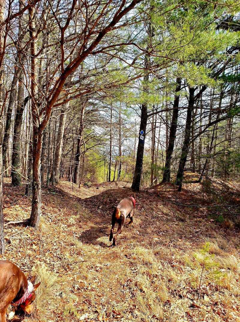 Check The Hunting Calendar Before You Go