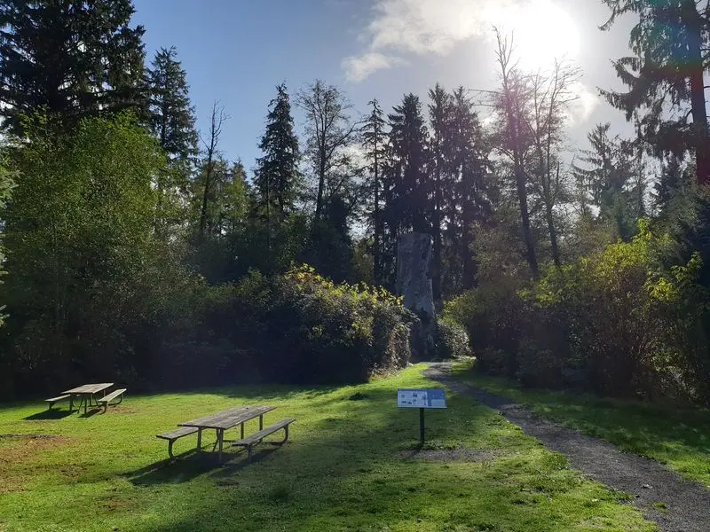 Picnic Tables And Room To Roam