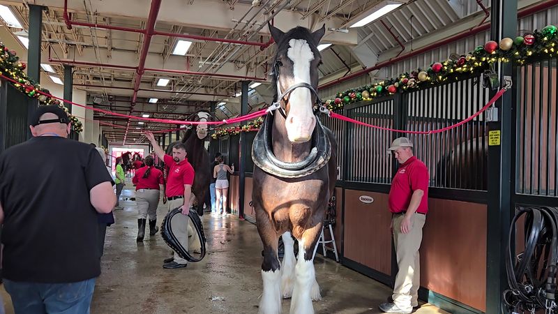 A Tour Menu With Something For Every Kind Of Horse Fan