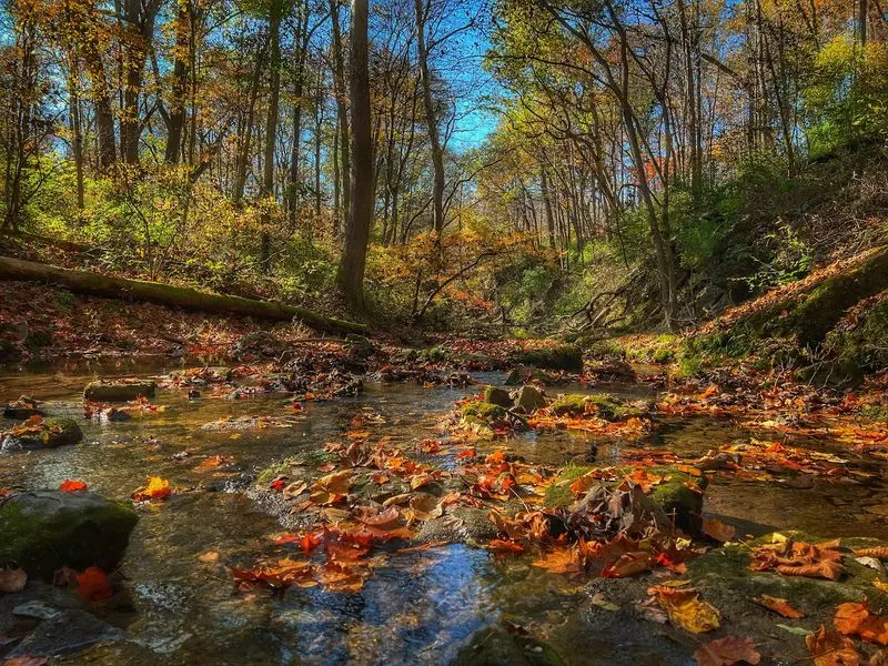 Yellow Springs and Glen Helen Nature Preserve
