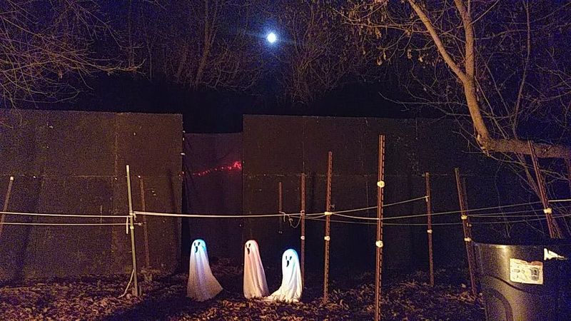 Perdition Pines Haunted Event
