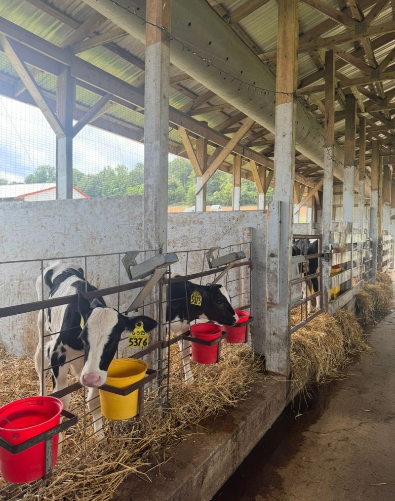 South Mountain Creamery