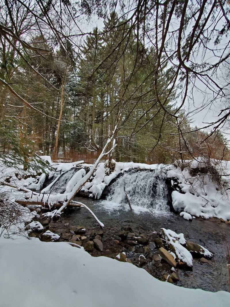 Snow Turns The Park Into A Quiet Playground