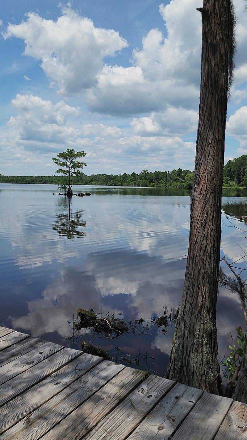 Paddle Across Water That Feels Like Glass