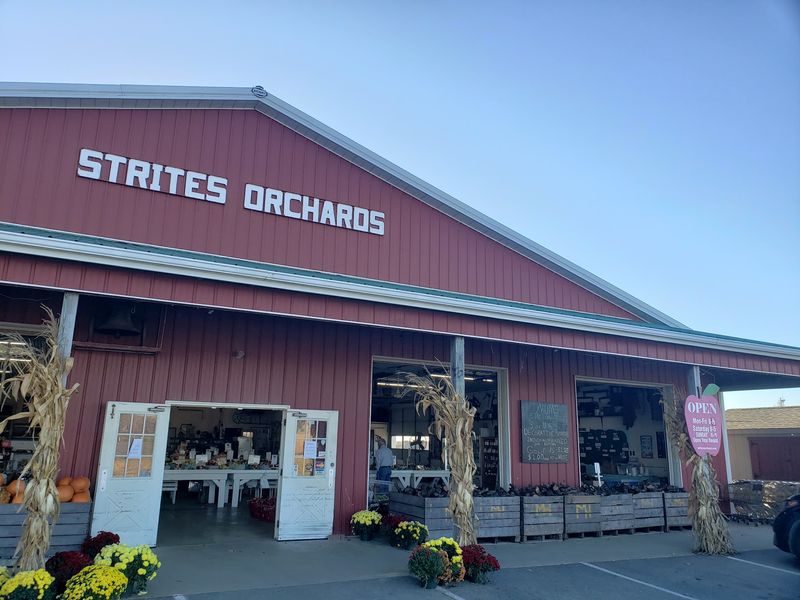 Strites Orchards