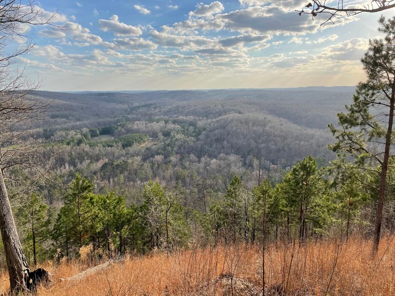 Morrow Mountain State Park