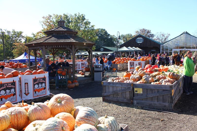 Linvilla Orchards