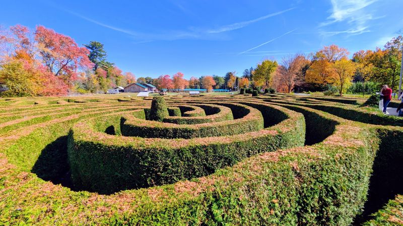 Hedge Mazes With a Playful Challenge
