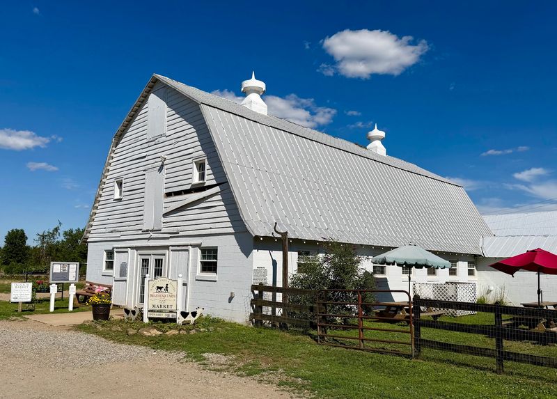 Braehead Farm