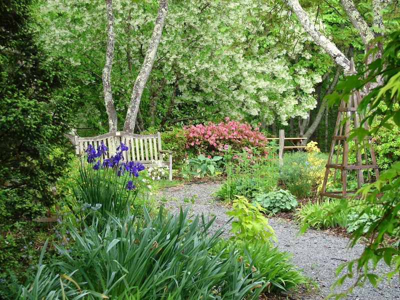 Shaded Paths Make Room for a Slower Adventure